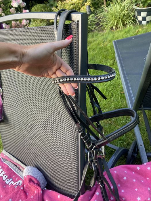 Ogłowie z kamieniami Swarovskiego Euroriding