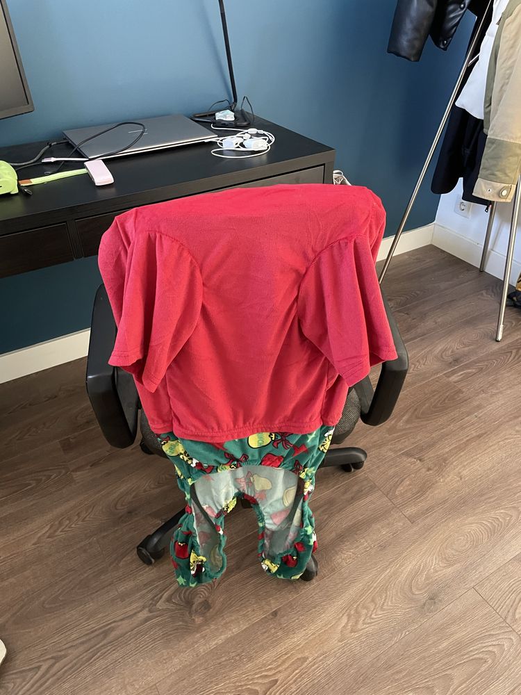 Roupa cão