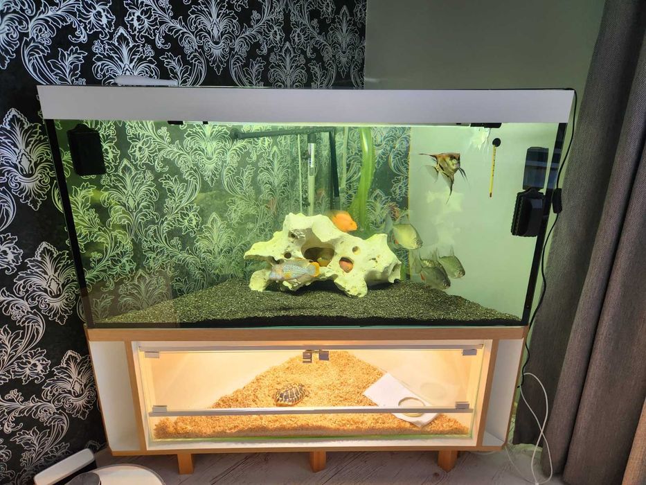 Акваріум на 200 літрів з тумбою самовивіз