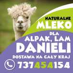 mleko dla alpaki lamy daniele sarny  wysyłka na cały kraj