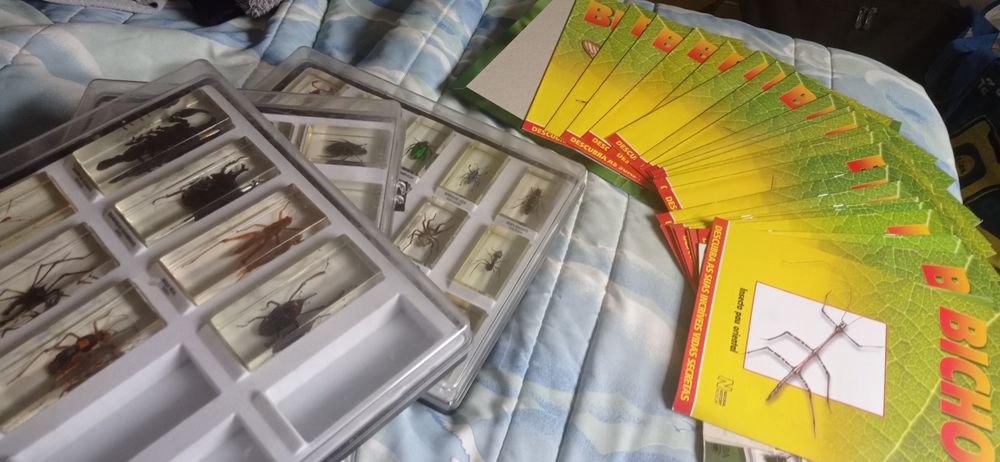Coleção incompleta os bichos