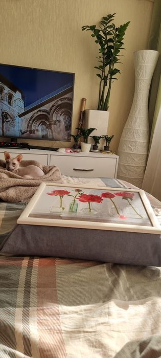 Аромасвечи в гипсовом кашпо, Зебра, Zara чашки,Декор