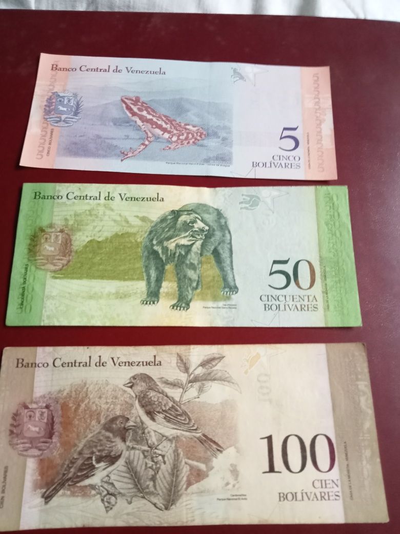Zestaw  banknotów  Wenezuela