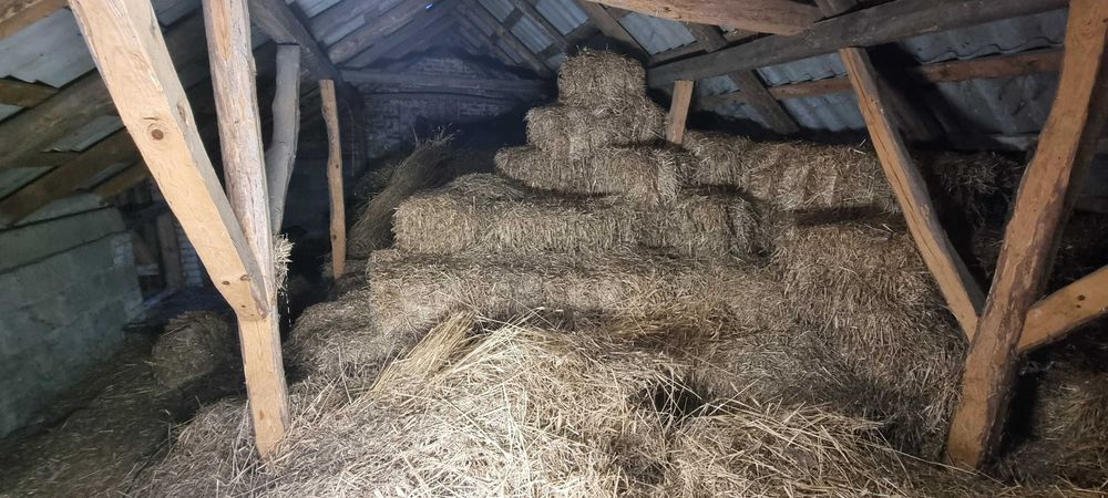 Słoma w małych kostkach