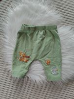 Zielone spodenki niemowlęce Tom & Jerry 56
