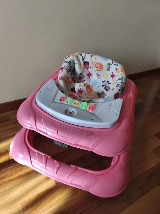 Aranha andarilho primeiros passos