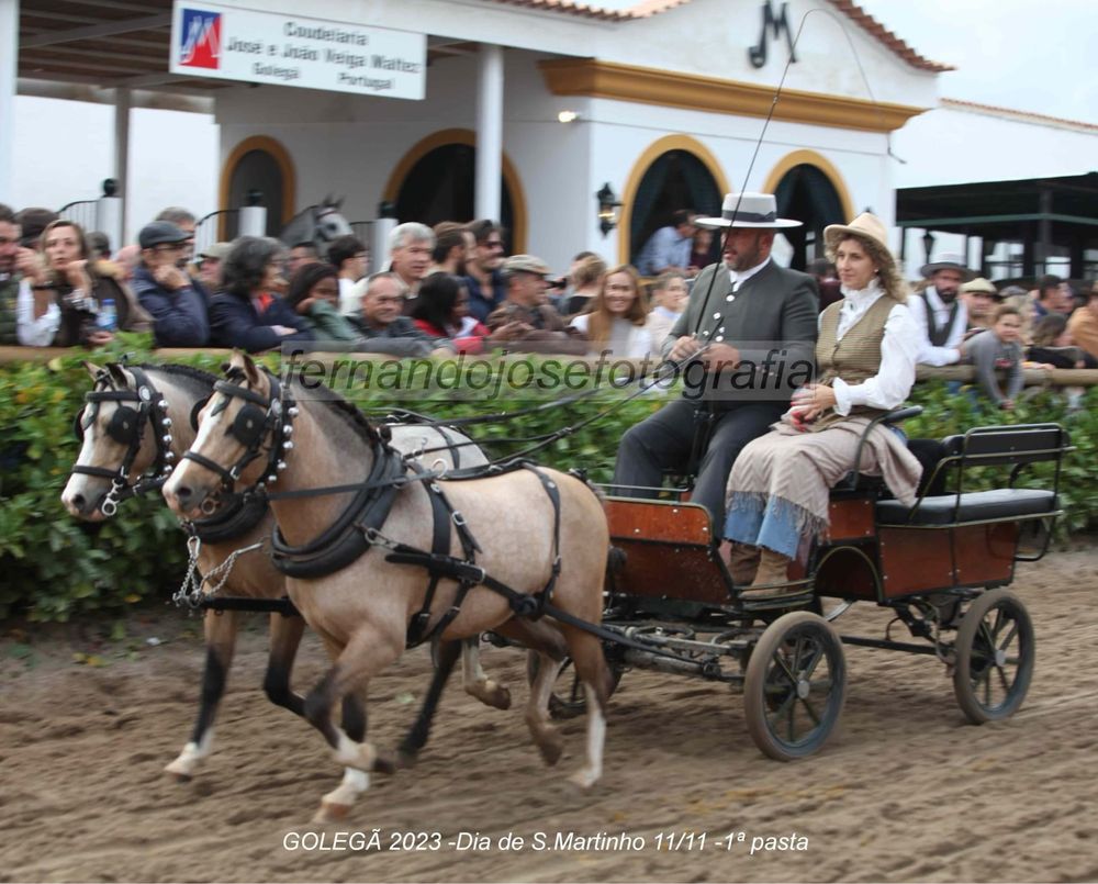 Festas casamentos cirios etc