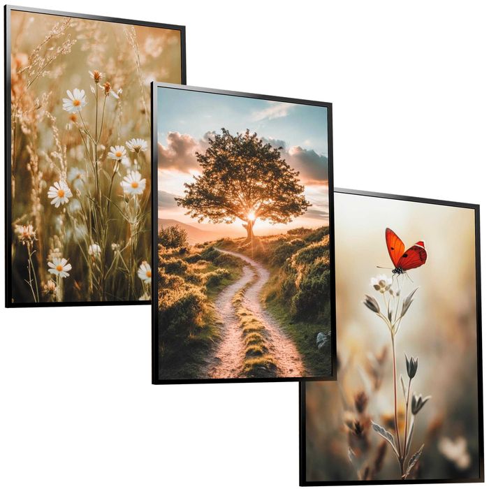 30x40 obrazy w ramie plakaty ramka MOTYL ŁĄKA KWIATY NATURA BOHO