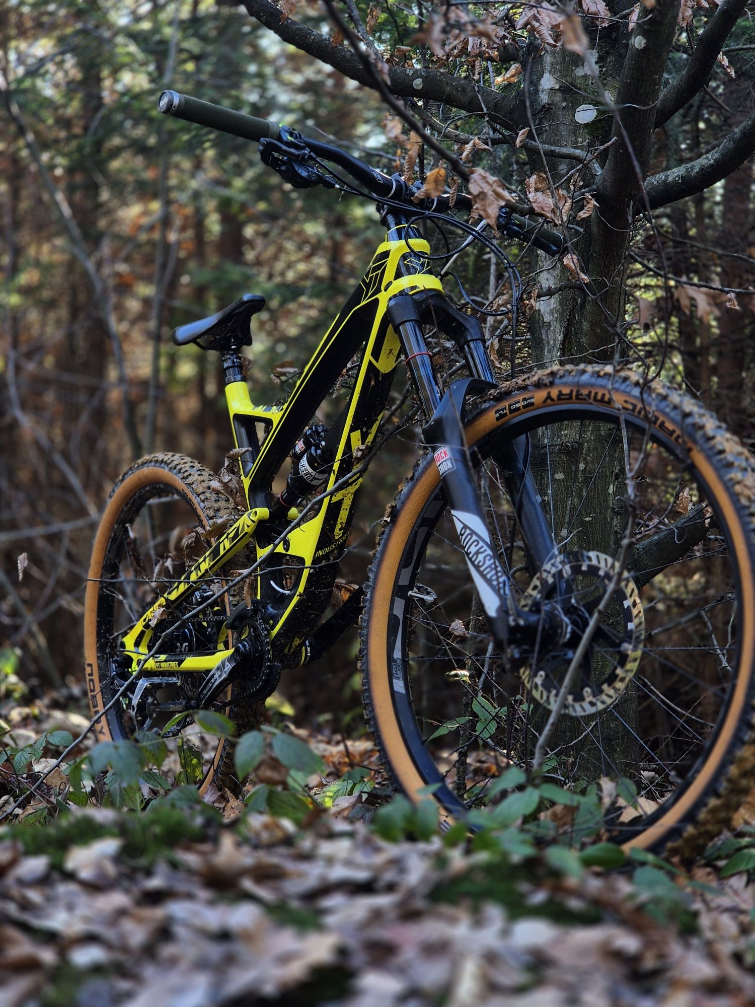 Yt capra cf pro carbon 2017