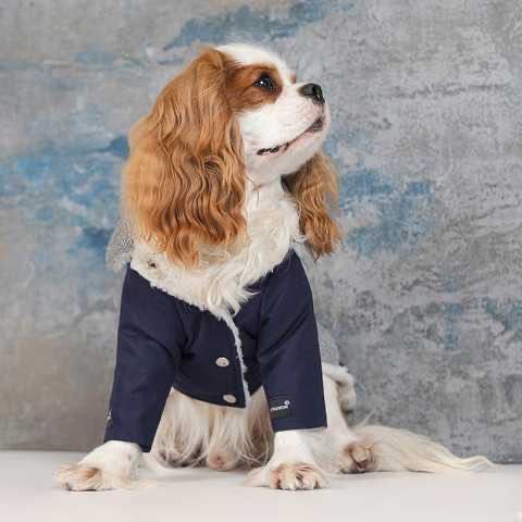 Жакет для собак новий Pet Fashion sirius XS темний синій куртка жилет