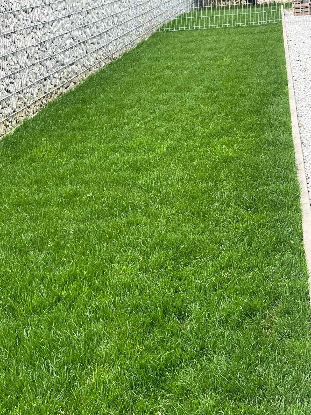 Piękny trawnik w jeden dzień - trawa w rolce