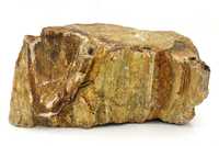 Tiger Eye / Petrified wood stone. Aquascaping akwarium
