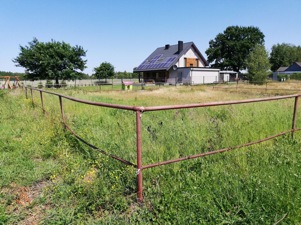 Lonżownik, wybieg dla konia
