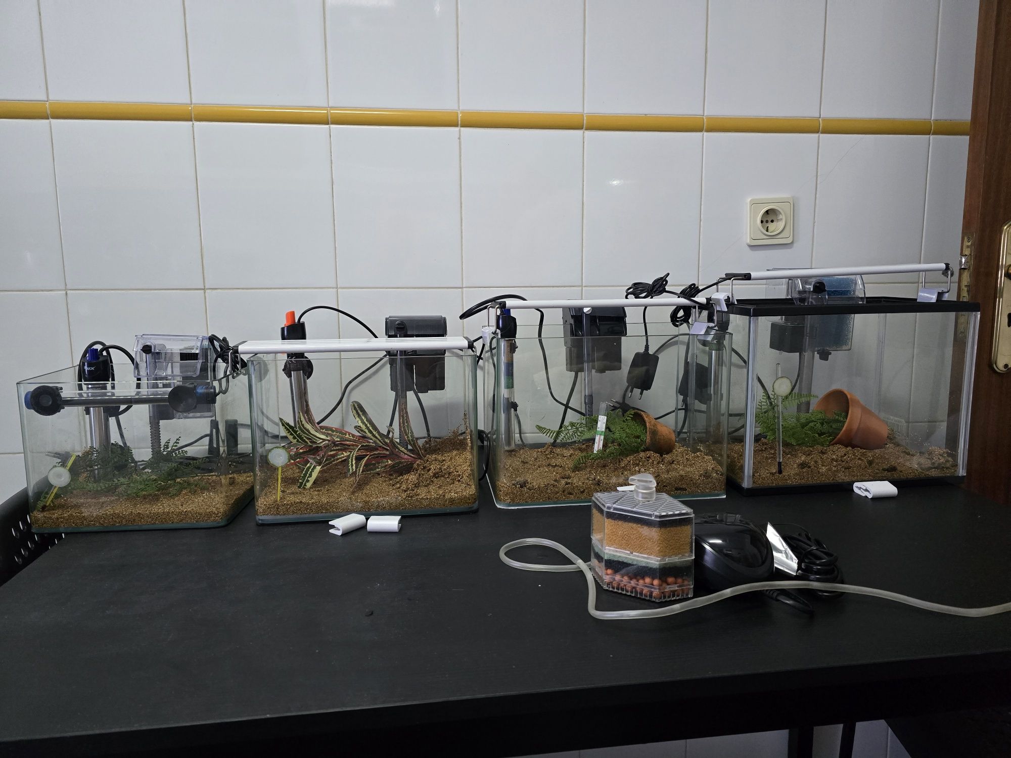 Aquários variados