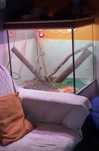 Aquario/terrario 250 litros
