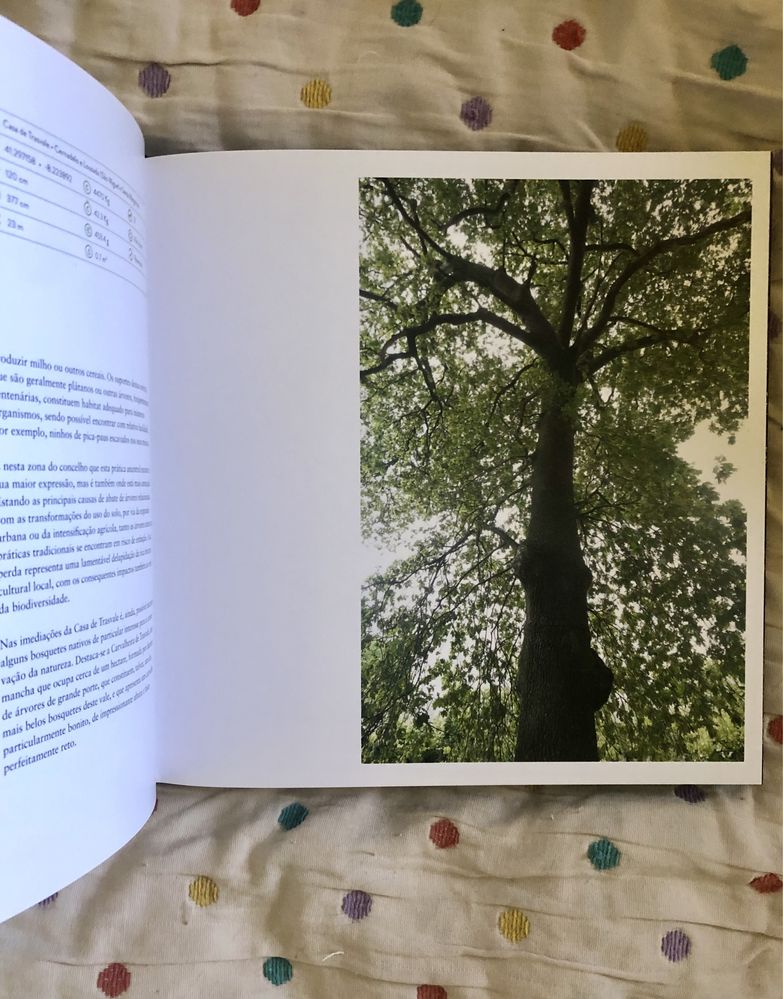 Gigantes Verdes - livro capa dura