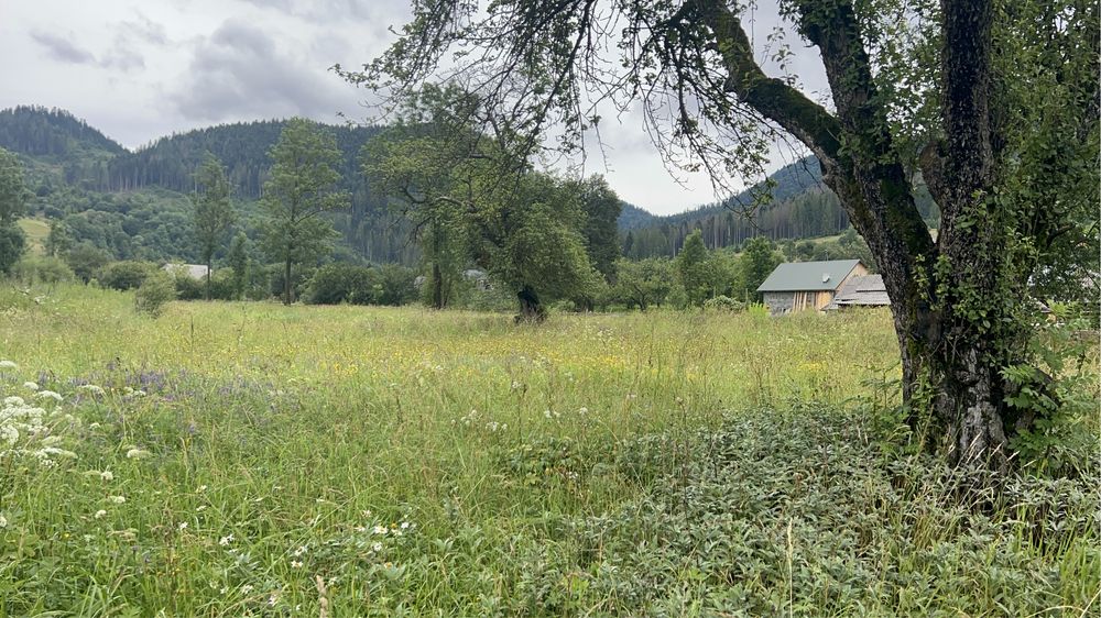 Продається ділянка у горах Закарпаття село Голятин