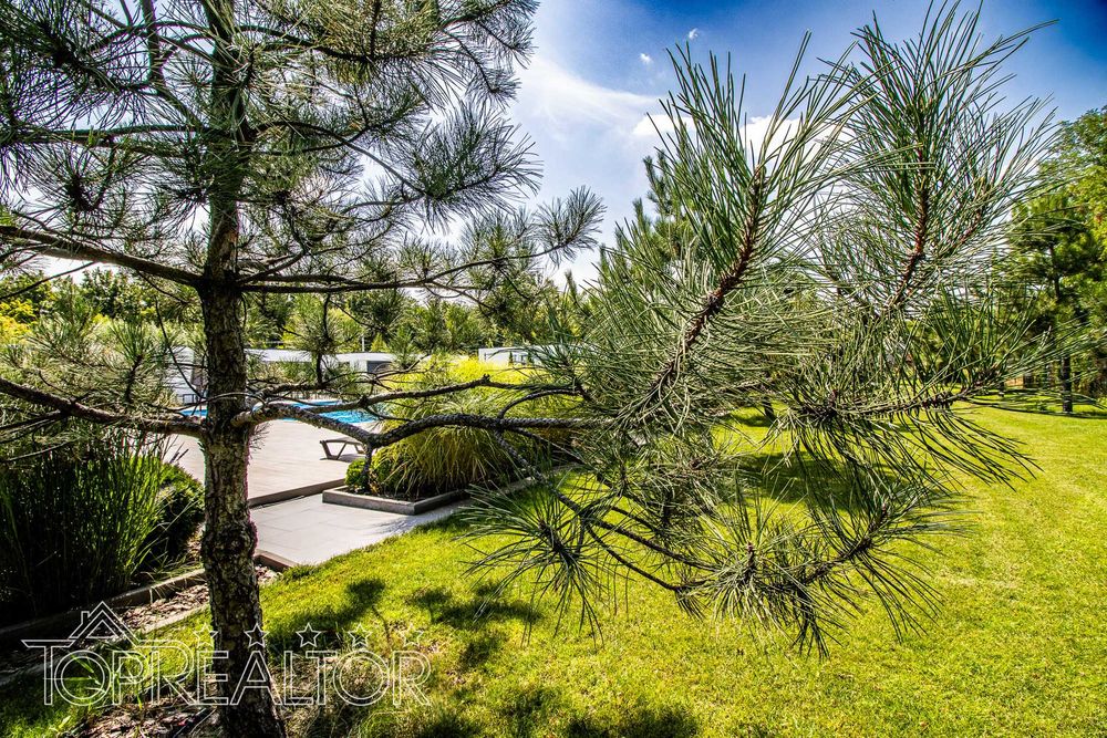 Офис продаж в КП "Лесное"  участок 13 соток в лесопарке без комиссии