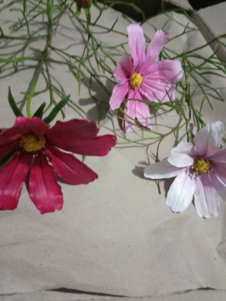 Космея, цветы, квіти, подарок,14 февраля, 8 марта