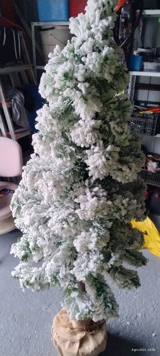 Choinka na pniu 145 cm bielona