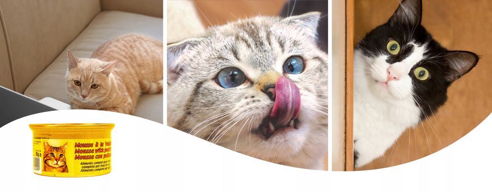 48 X 85 G Karma Mokra Dla Kotów Kurczak Kawałki