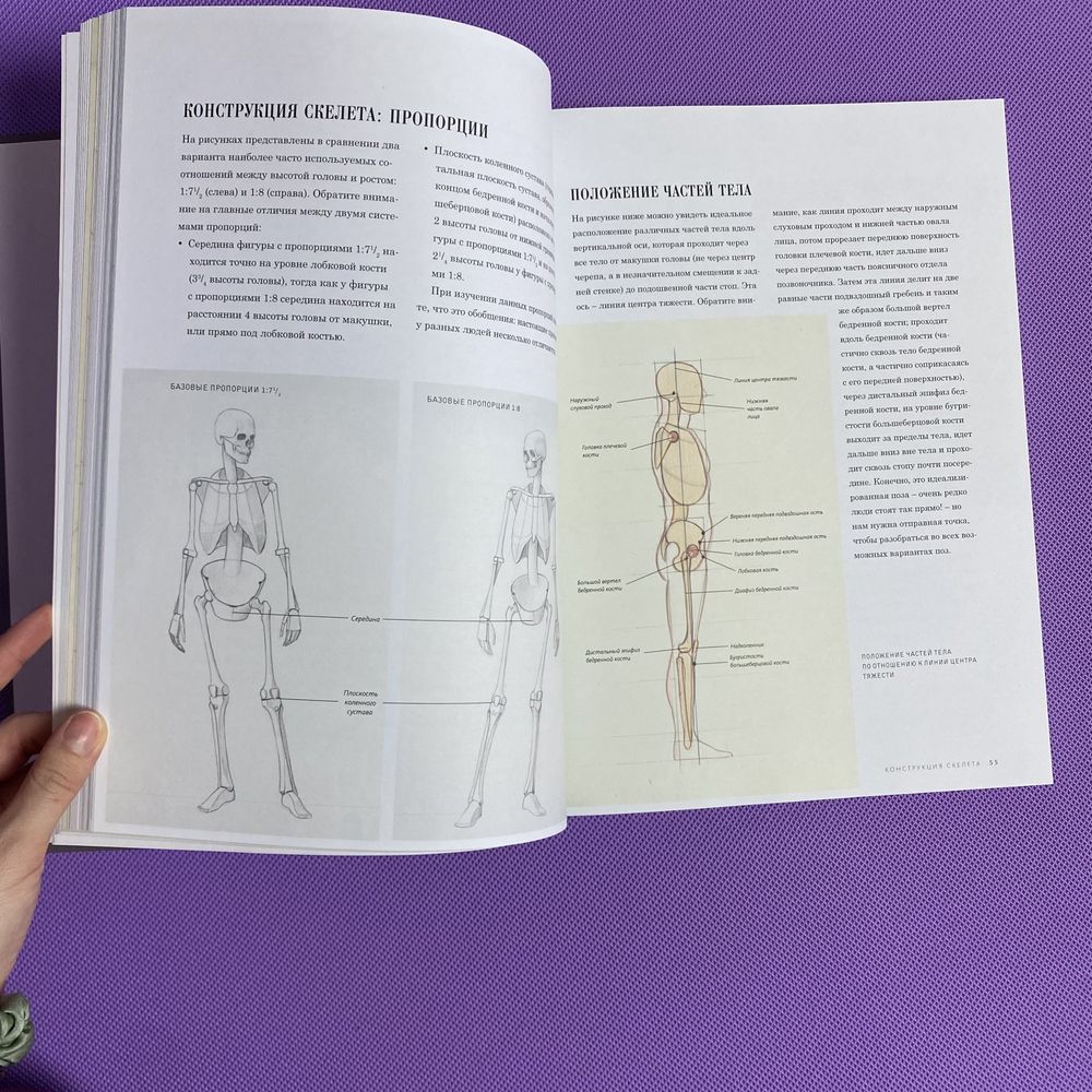 Книга з основ анатомії для художників