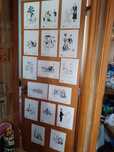 31 desenhos Stuart de Carvalhais Fac símile 28E - Olhos V.-2E Desde 2E