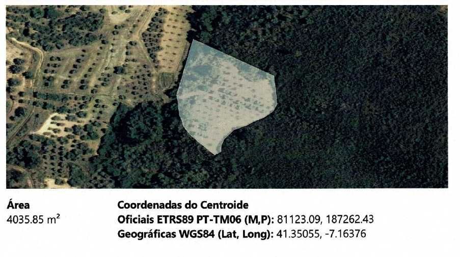 Vende-se 4 terrenos agrícolas