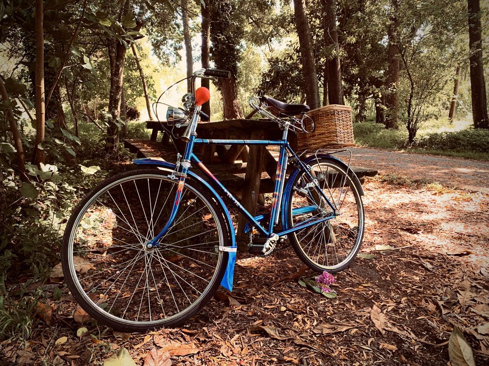 Bicicleta antiga pasteleira yéyé (sangal)