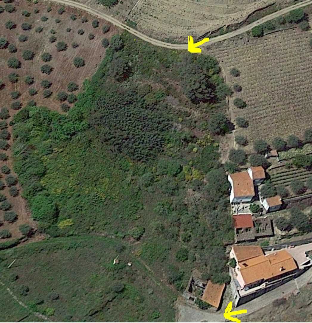 Quintinha no Douro com imóvel para recuperar
