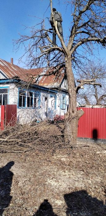 Продам терміново будинок черкаська область драбів, торг