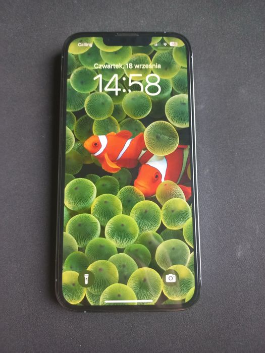 Apple Iphone 13 pro 87% bateria 3 etui szkło