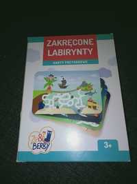 Zakręcone labirynty