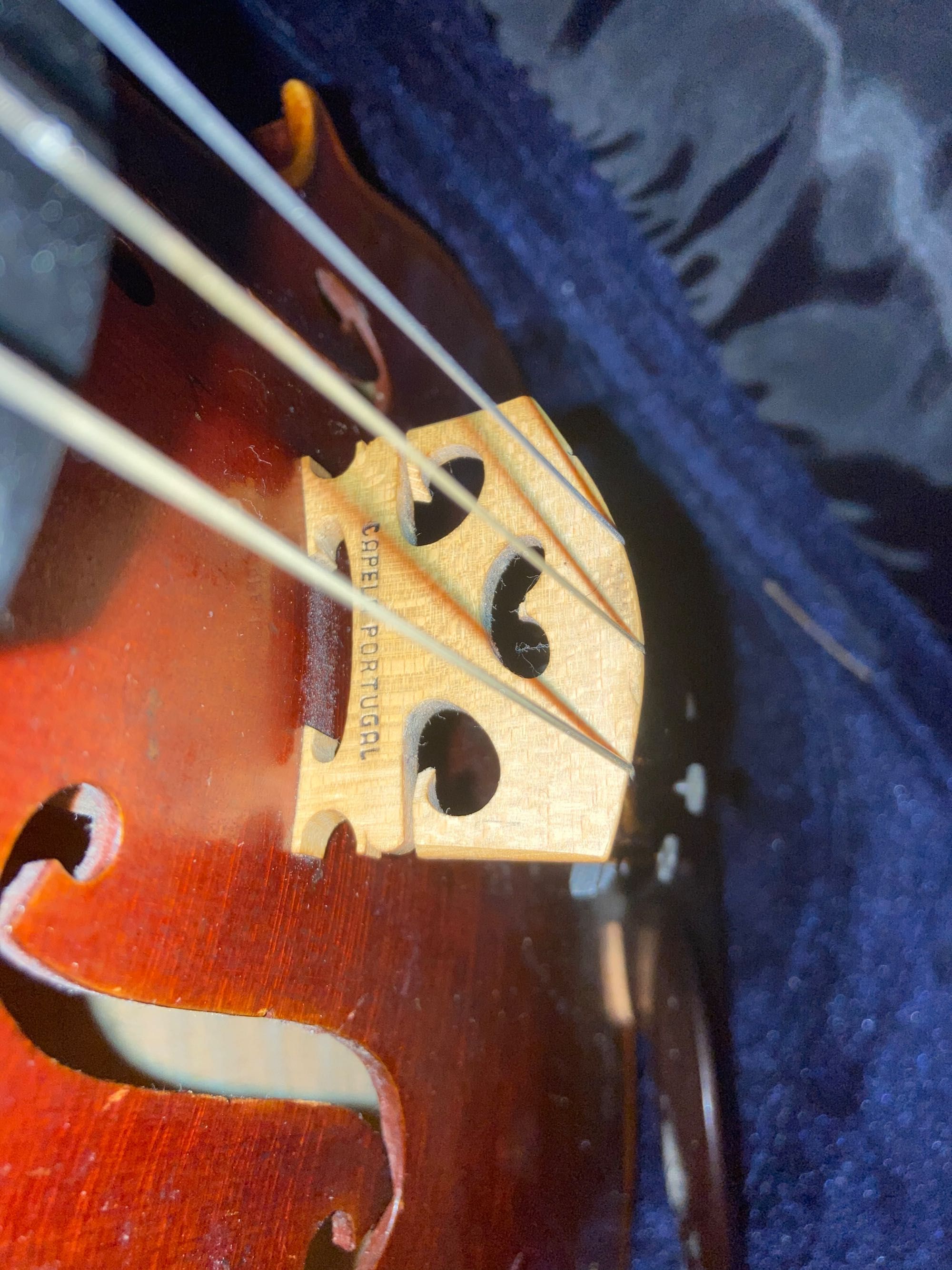 Violino completo