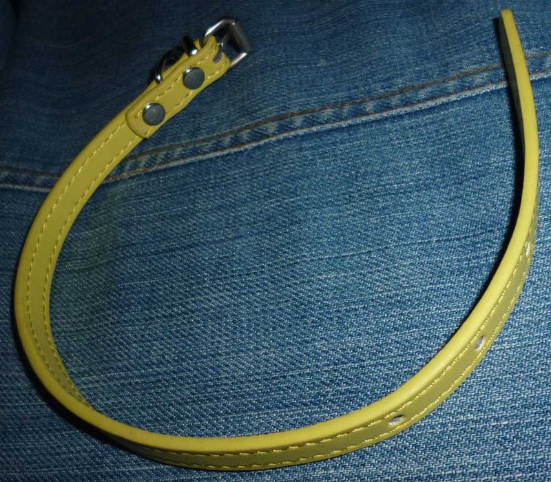 Ошейник для домашних животных