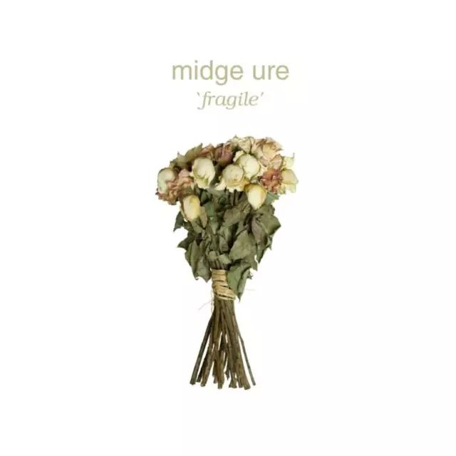 Fragile, CD. Mig-music