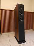 2 Kolumny Audio Pro Avanto FS-20