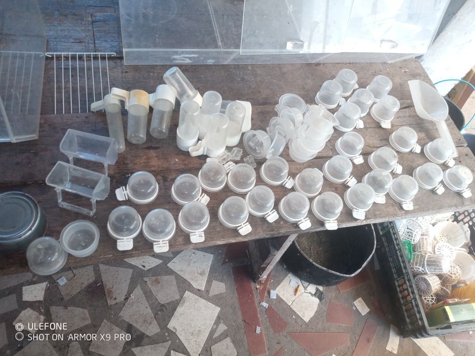 Acessórios vários para Pássaros