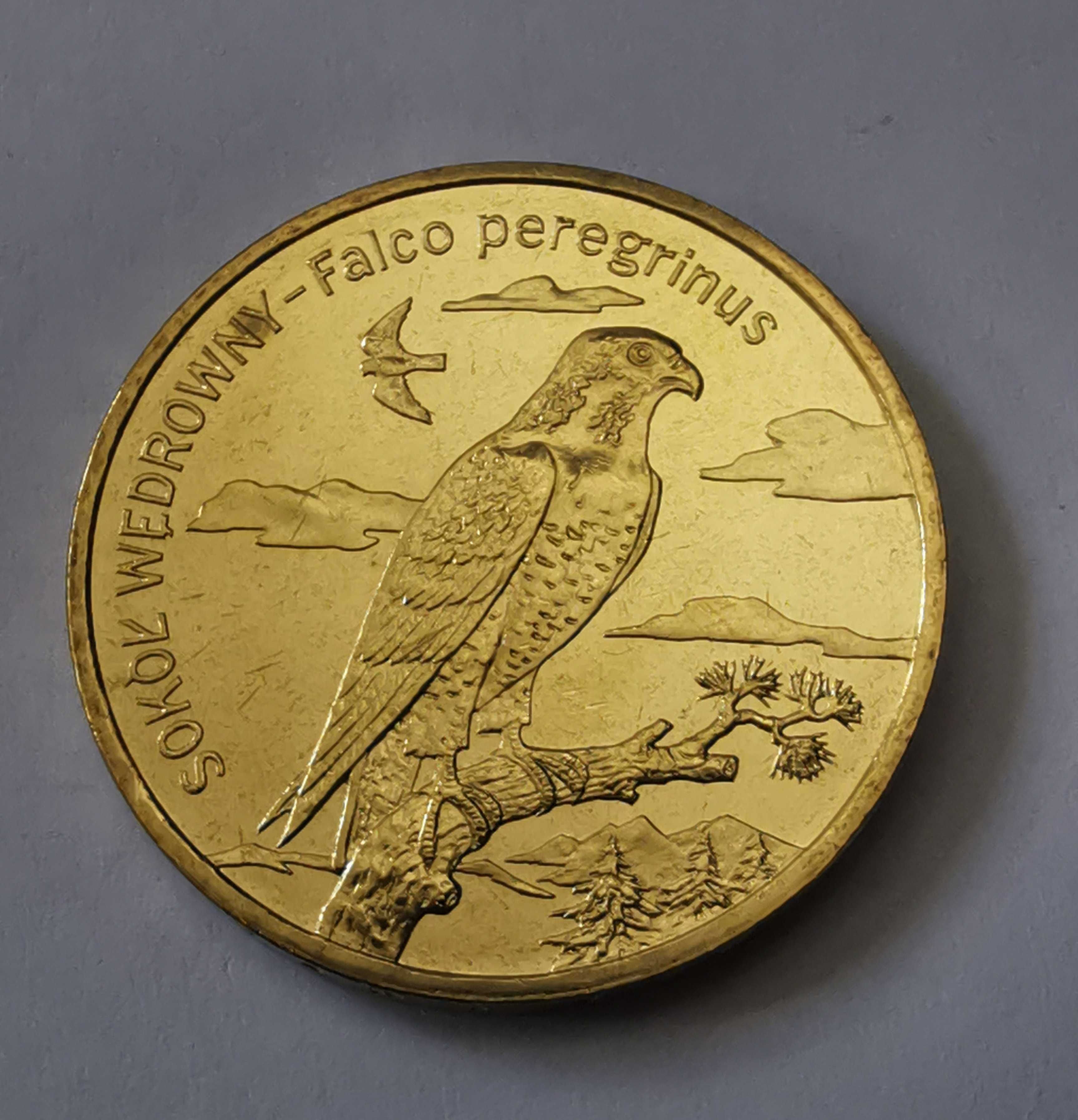 2zł 2008r. - Sokół wędrowny - stan bardzo dobry, nordic gold