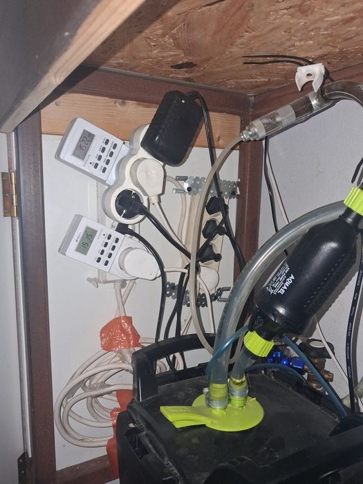 Akwarium roślinne 2m