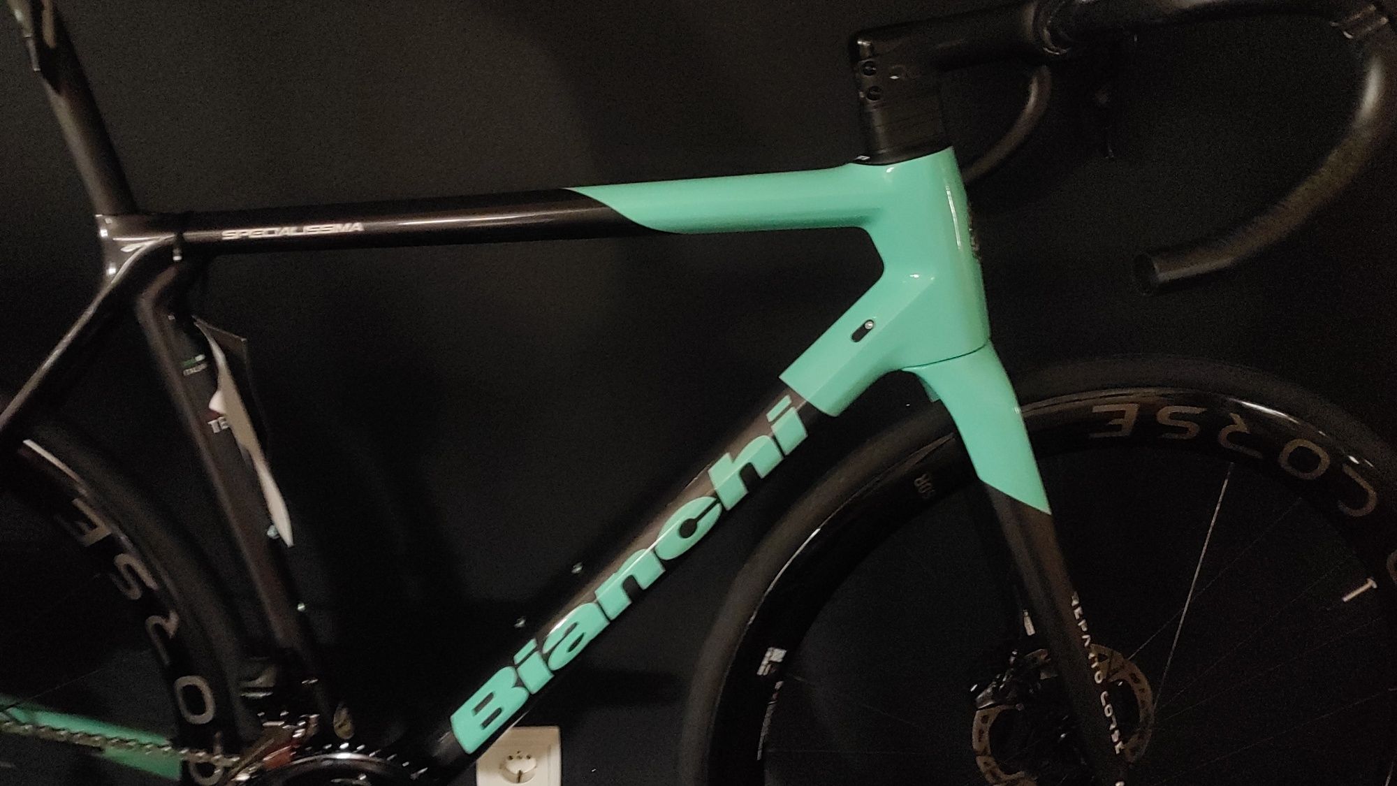 Topo Bianchi Specialissima Team Arkea