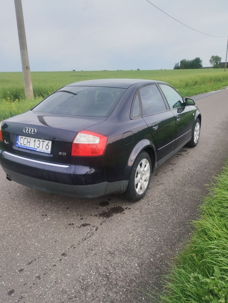 Audi A4 B6 nieuszkodzony
