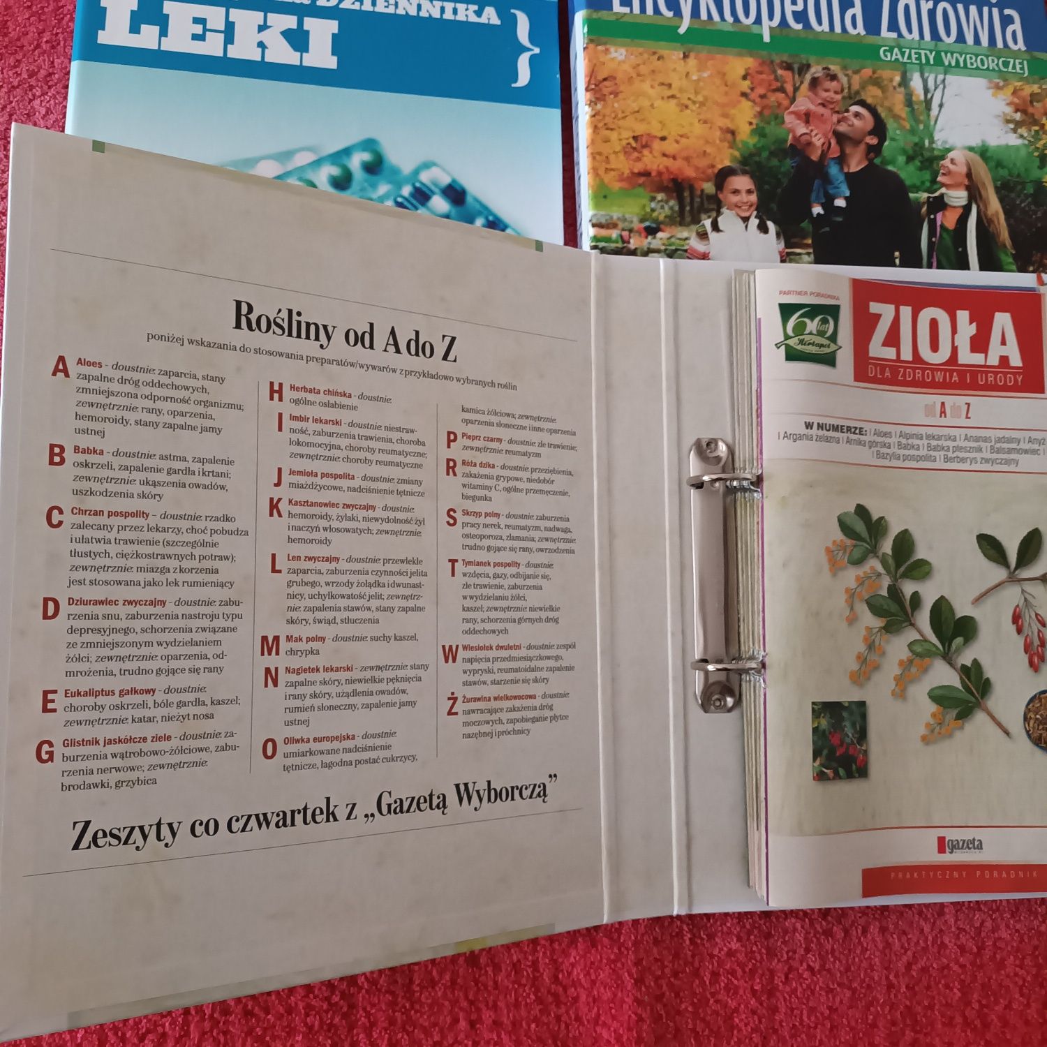 Zioła leki zdrowie