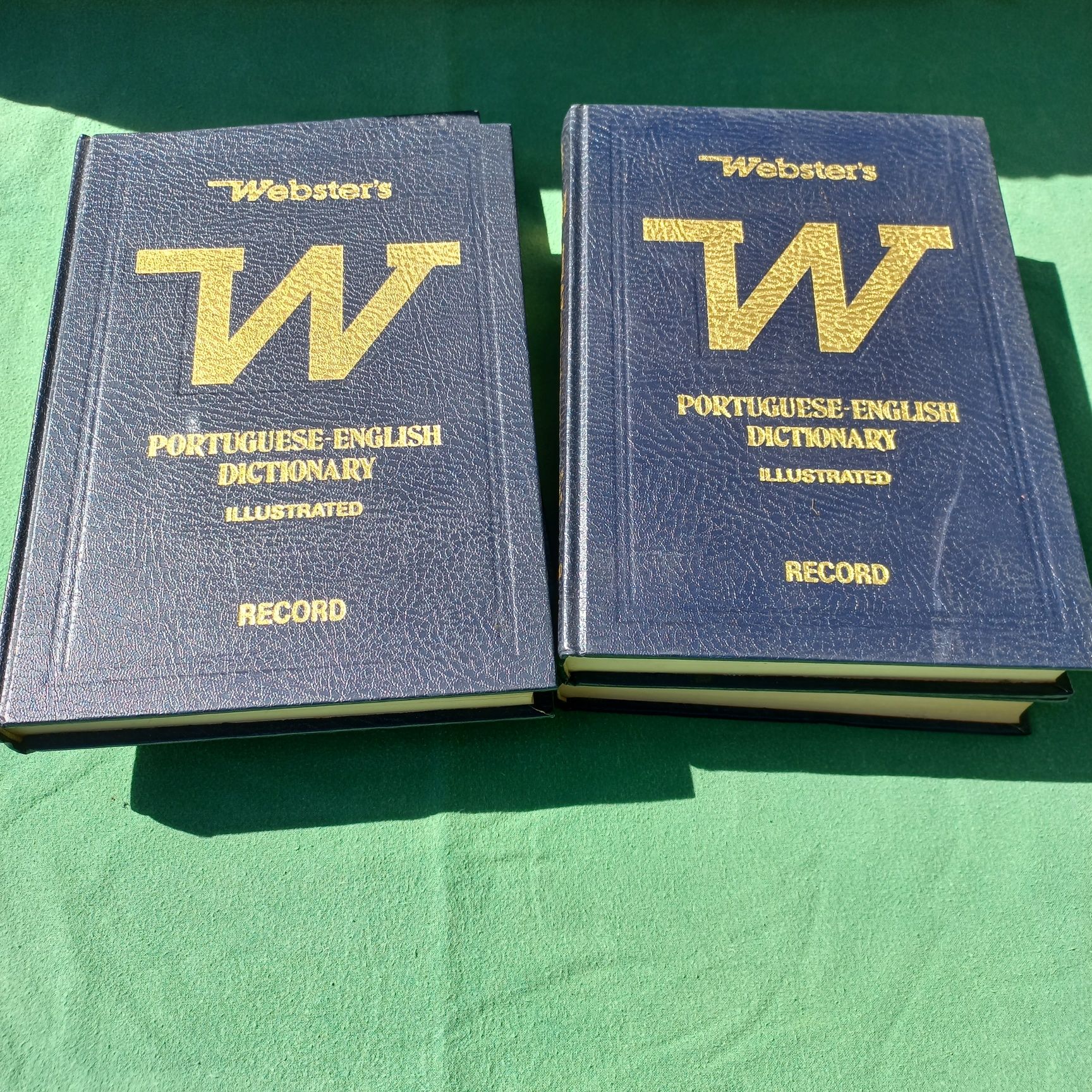 Webster's Portuguese -English Dictionary