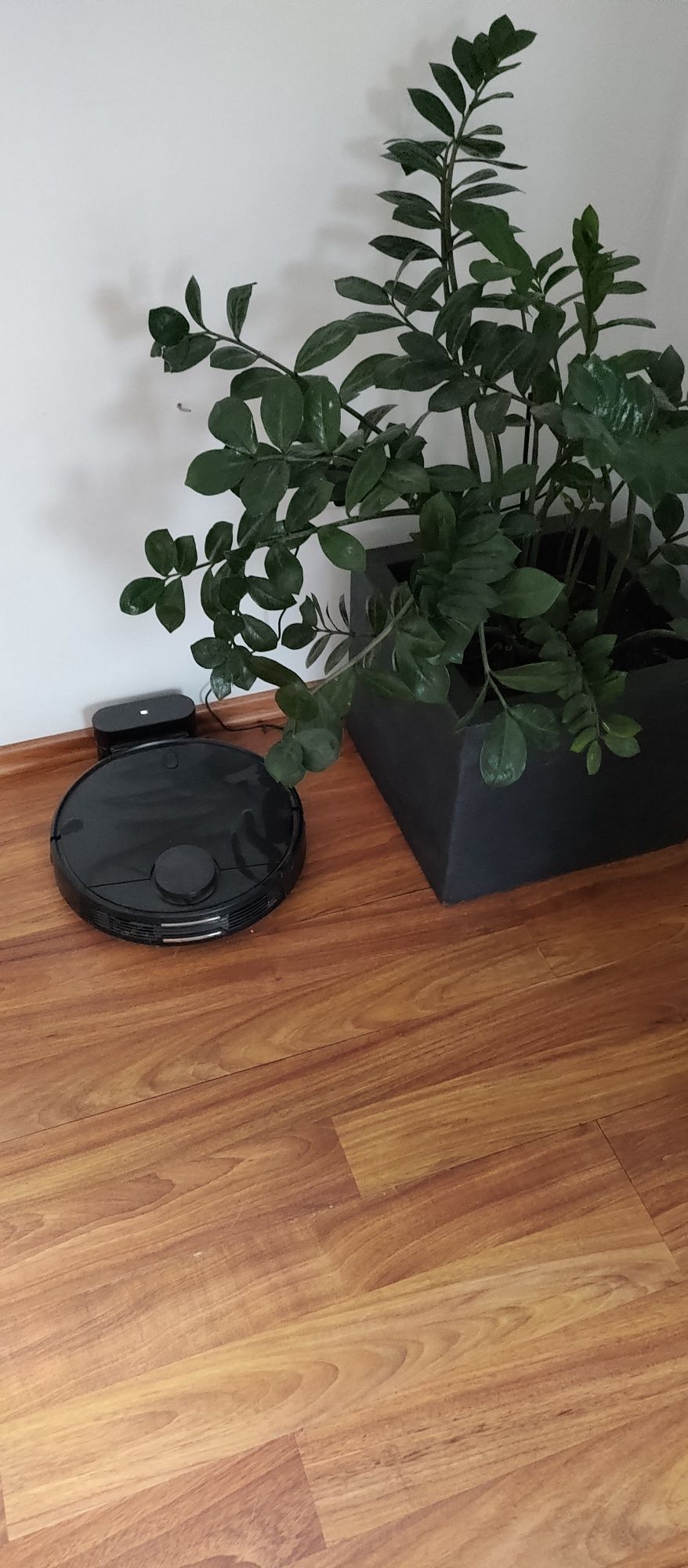 Mi robot vacuum mop p