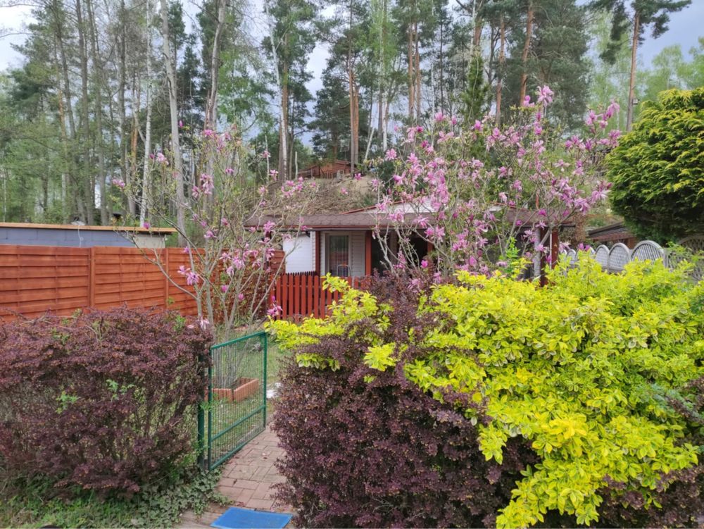 Domek wypoczynkowy