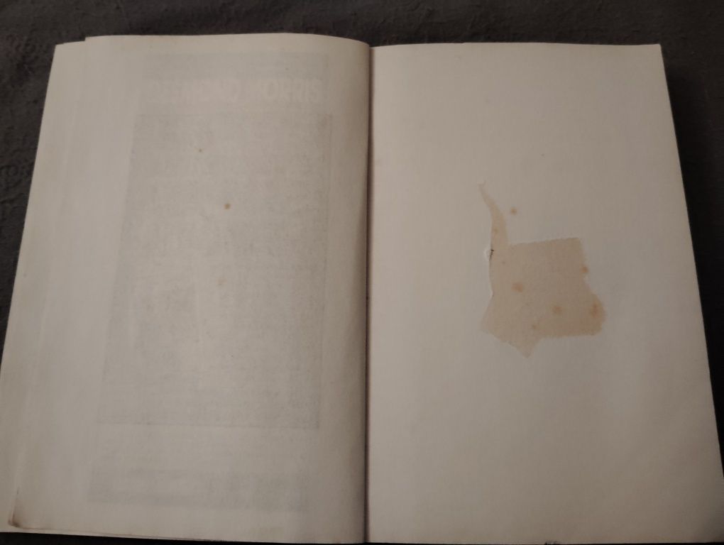Livro A Criação de Hamsters Usado