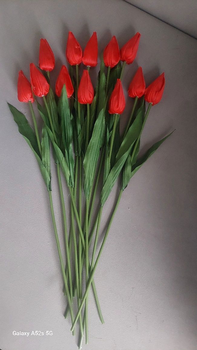 Bukiet tulipanów czerwonych 50cm 12 szt