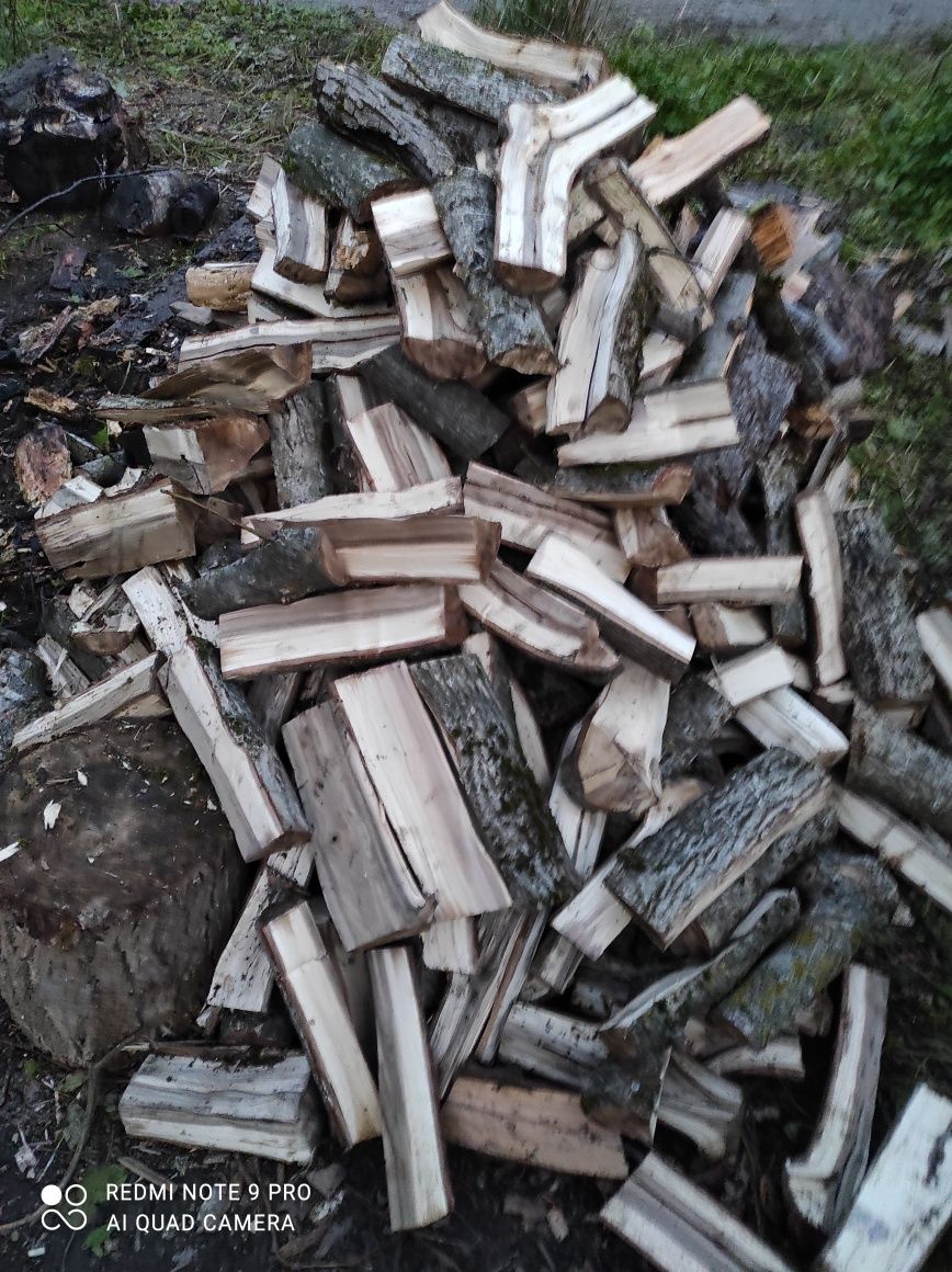 Продам сухі  дрова твердих порід, колені та порізані колодами 30 см
