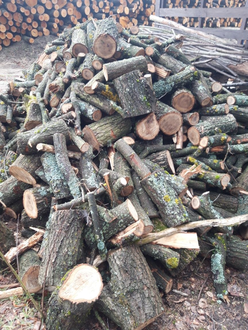 Drewno drzewo opałowe Dąb w kawałkach ok 30cm